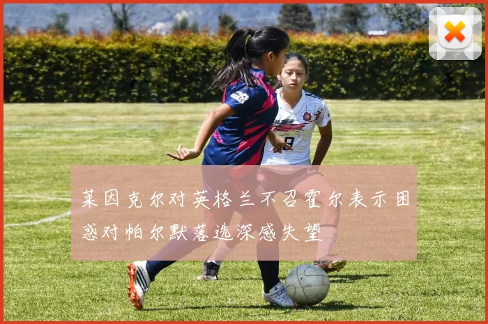 莱因克尔对英格兰不召霍尔表示困惑对帕尔默落选深感失望
