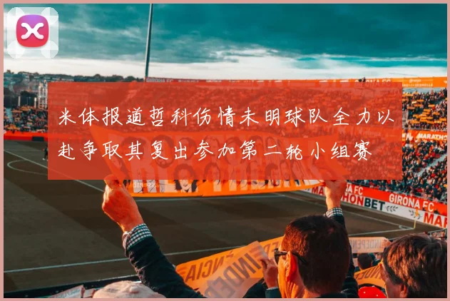 米体报道哲科伤情未明球队全力以赴争取其复出参加第二轮小组赛